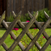 McGarden24 – Dein Online Gartendiscounter